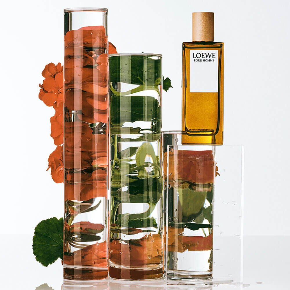 Perfume Loewe Pour Homme Masculino Eau de Toilette | Sephora